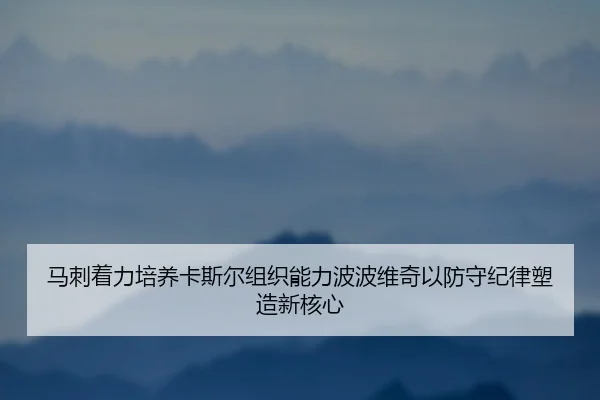 马刺着力培养卡斯尔组织能力波波维奇以防守纪律塑造新核心